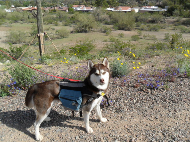 Wordless Wednesday Blog Hop: Take a Hike