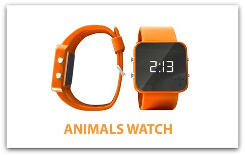 BlogPaws News Bite: Helping Canadian Pets Find Homes