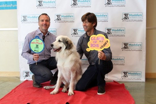 Maddie’s Pet Adoption Days A Success