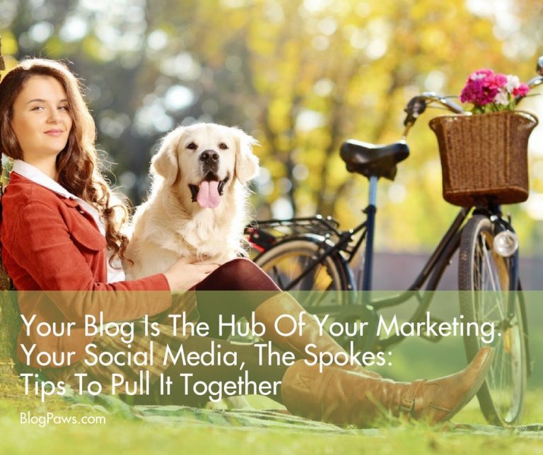 blog is marketing hub