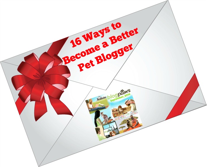 blogging