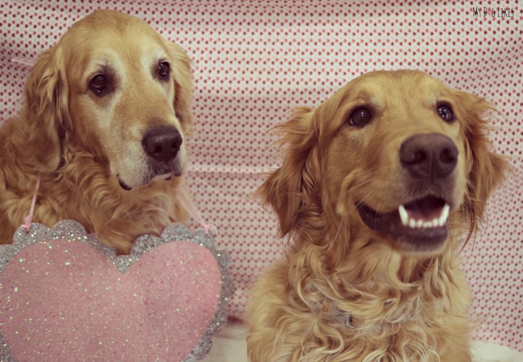 valentine love