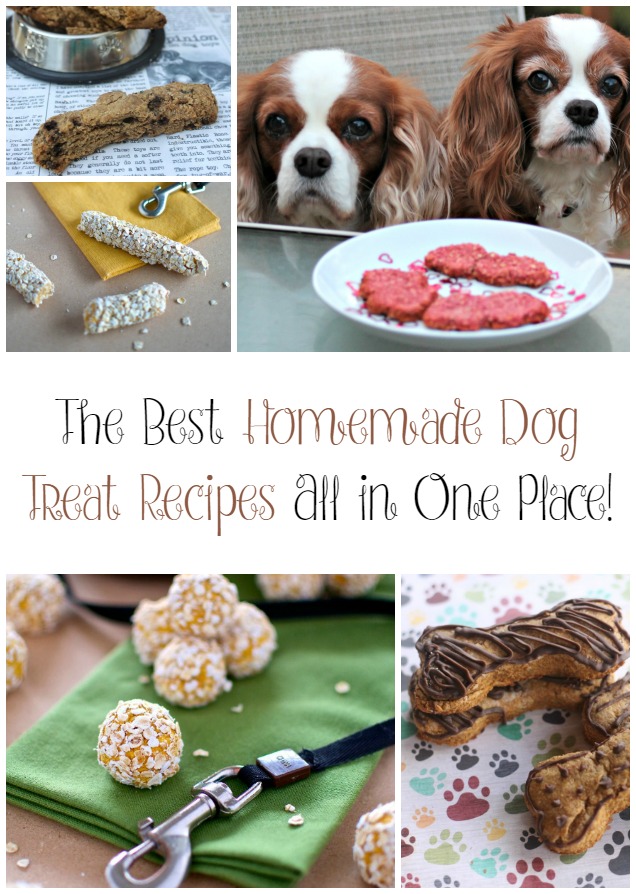 best dog treats