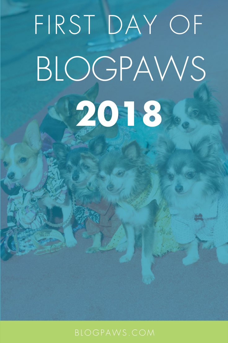 BlogPaws 2018