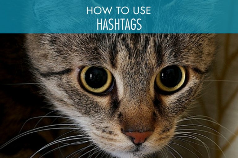 How to use hashtags