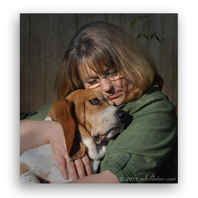 How Did I Get Here? Pet Blogger And Author