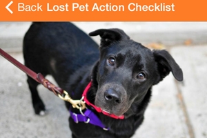 BlogPaws News Bite: ASPCA App For Lost Pets