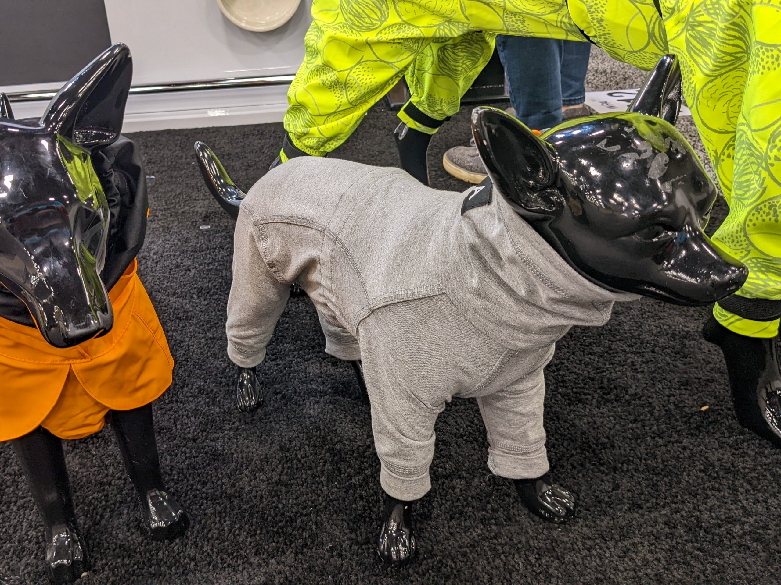Paikka Recovery Overall | Learn More About BlogPaws Best Award Winners at SuperZoo 2022