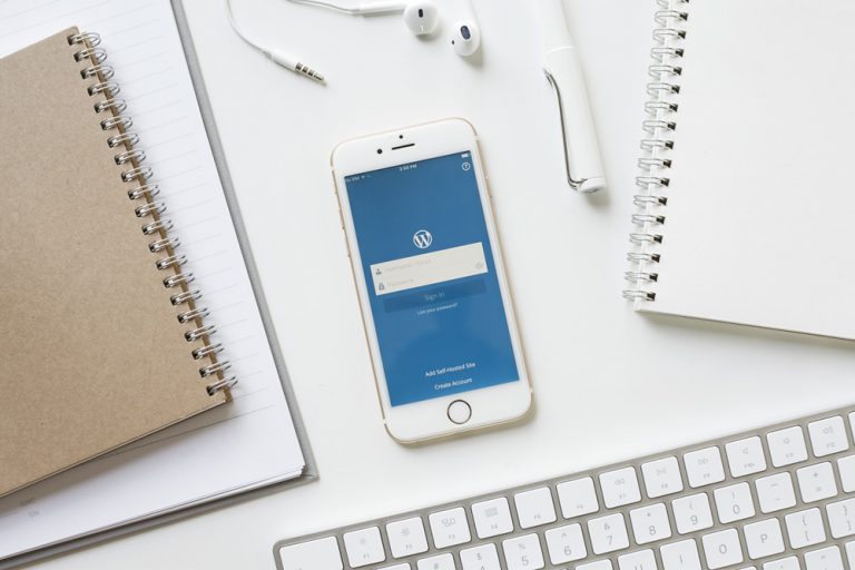 wordpress skills