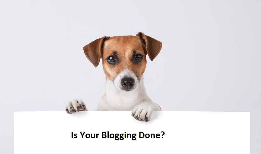 December Pet Blogging Prompts To Inspire