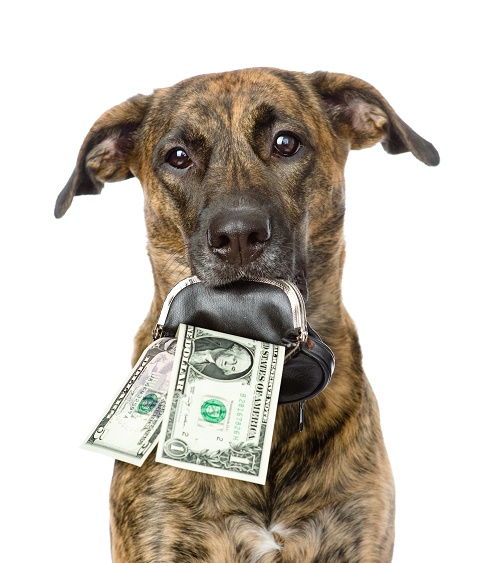 #PetBloggerMonth: Countdown To BlogPaws 2015 Start Saving Now