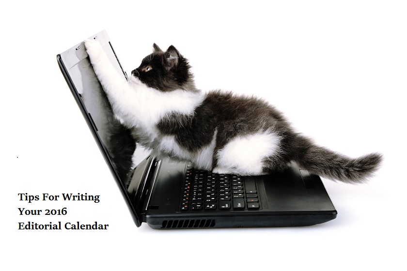 kitten on keyboard writing editorial calendar
