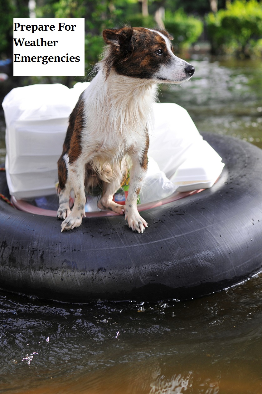 Preparing For Weather Emergencies