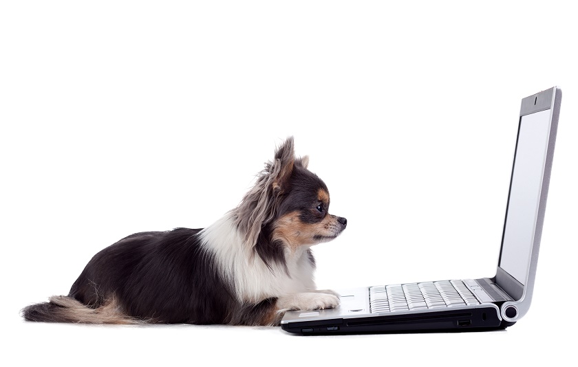 Blog Spring Cleaning: Week 3 – What Are Your Blogging Goals?