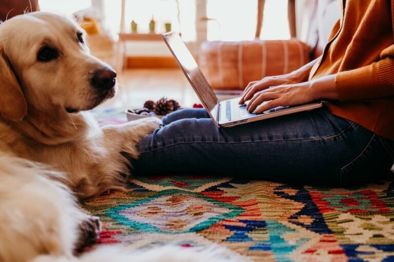 A young woman sitting on the floor working on her laptop at home with a cute golden retriever dog laying besides her.