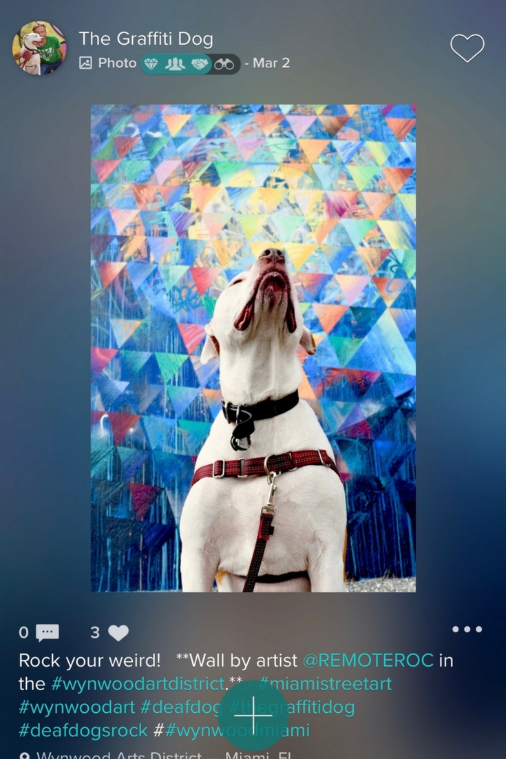 VERO- HORIZONTAL IMAGE EXAMPLE Screenshot