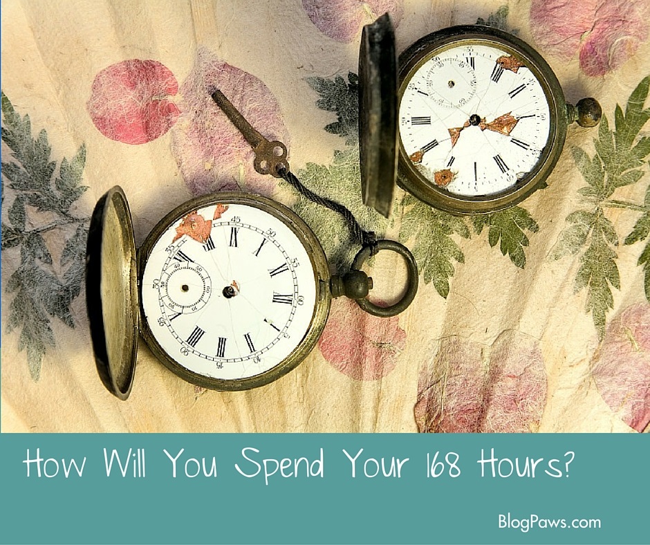 Blogging 101: How to be an Organized Writer