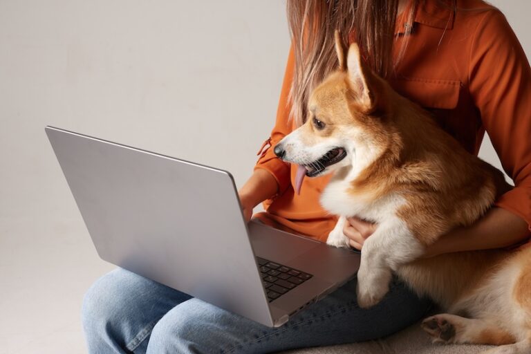 woman with a laptop on her lap and holding a corgi dog | Beginners Guide to Using Google Search Console for Keyword Research and SEO