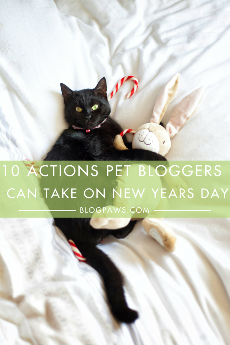 10 Actions Pet Bloggers Can Take On New Year’s Day