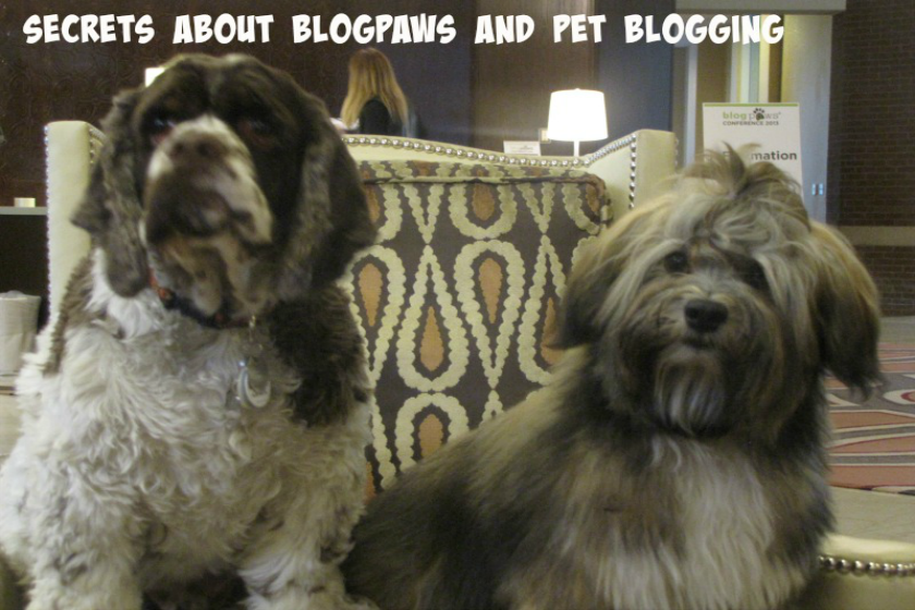 pet blogging secrets
