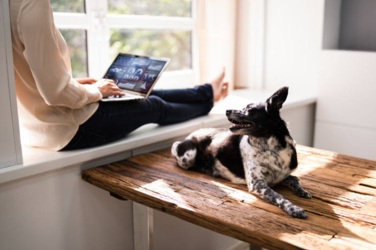 dog laying next to woman on business laptop full color | How to Do Keyword Research for Free