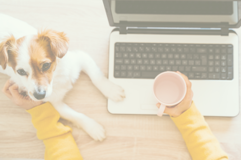 Small dog on desk with woman and coffee at computer for Email Automation
