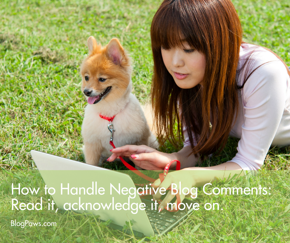 How to Handle Negative Blog Comments FB