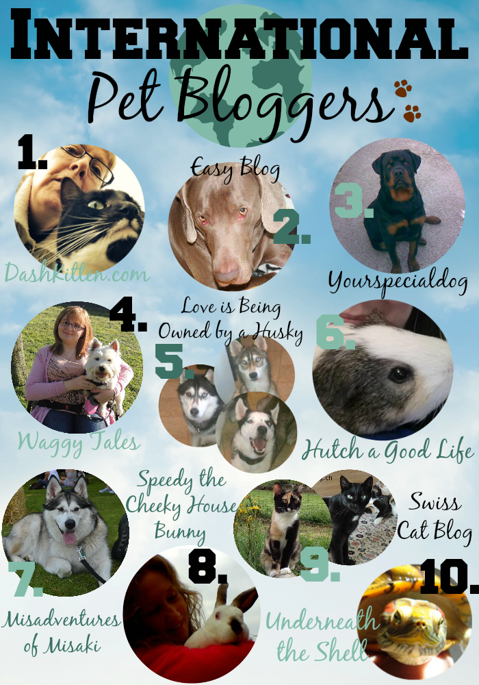 Celebrating Pets Internationally