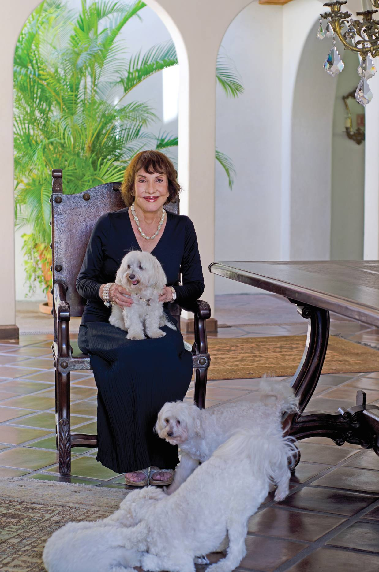 Pet Adoption Month: The Sanctuary In Puerto Vallarta