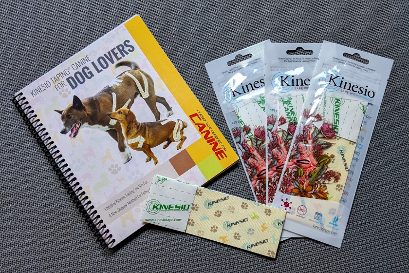kinesio tape for dogs | Introducing the BlogPaws Best Award Winners at SuperZoo 2023