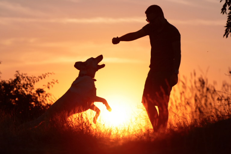 Man with dog during sunset | Leadership Skills For Small Pet Businesses