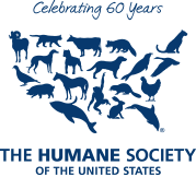 Animals Rescued From A Puppy Mill Taken In By AWLA