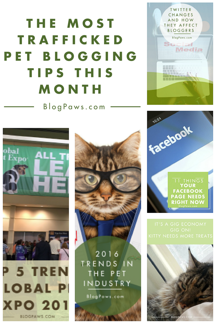 March pet blogging tips