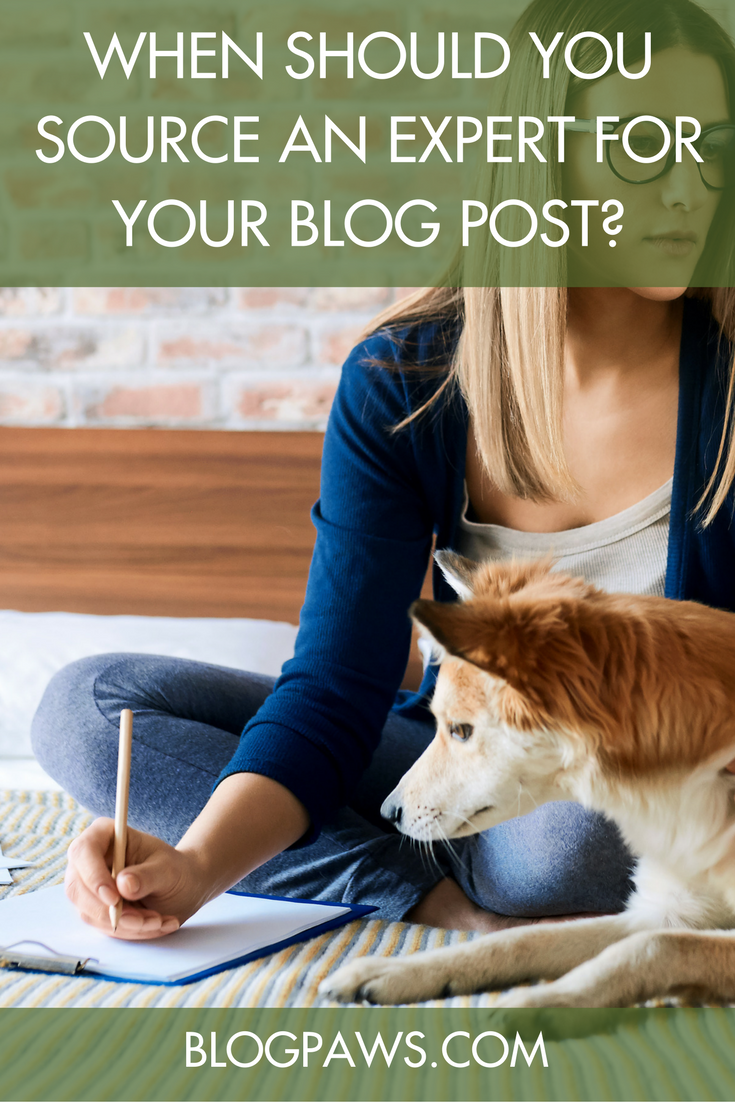When Should You Source an Expert for Your Blog Post-