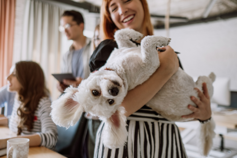 woman holding a dog surrounded by other people | 6 Follow-Up Tips for Networking Events in the Pet Industry